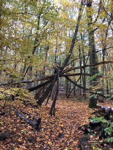 Fasten am Wohnort, Wanderung Buckow