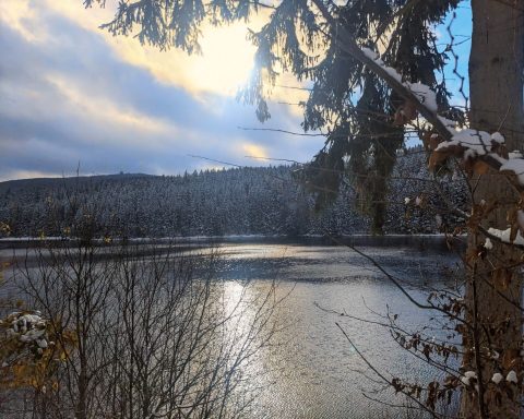 Winterlandschaft mit einem ruhigen See und schneebedeckten Bäumen unter einem bewölkten Himmel.