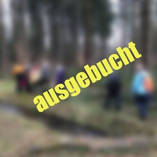 Gruppe von Menschen wandert durch einen Wald entlang eines kleinen Baches.