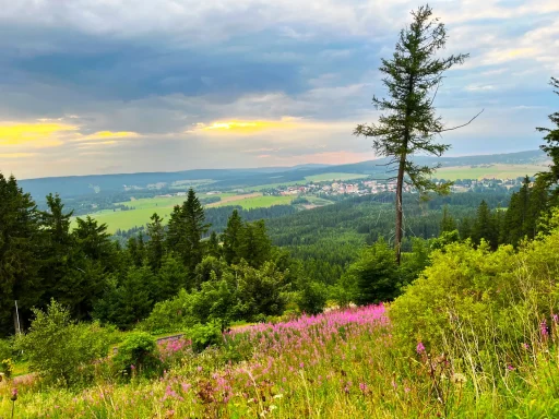 Blick in die Landschaft
