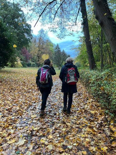 herbstliches Bild mit 2 Wanderern auf einem mit Laub bedecktem Weg