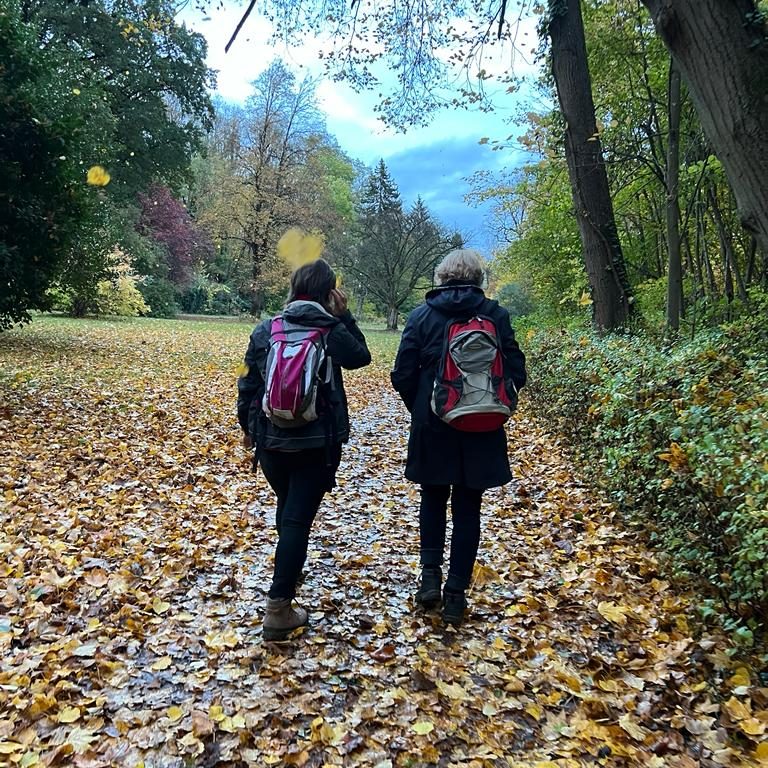 herbstliches Bild mit 2 Wanderern auf einem mit Laub bedecktem Weg