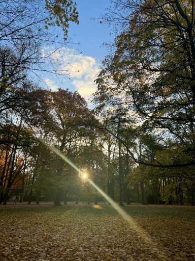 Fasten am Wohnort, Wandern in Buckow
