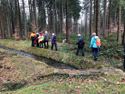 Gruppe von Menschen wandert durch einen Wald entlang eines kleinen Baches.